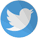 Twitter Icon